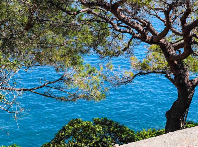 Schoene Aussichten Touristik-pixabay-beach-3400920_1280